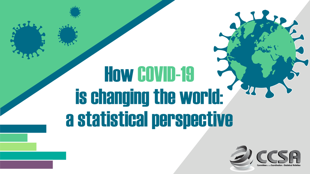 How COVID-19 is changing the world: a statistical perspective (UN)