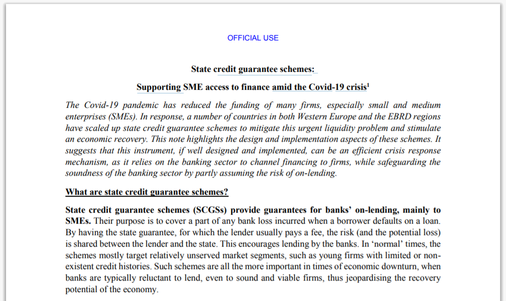 State credit guarantee schemes: Supporting SME access to finance amid the COVID-19 crisis