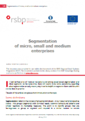 Segmentation of micro, small and medium enterprises